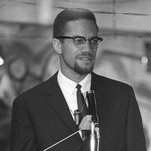 Meet your Posher, Timothy - Picture 1 of 1